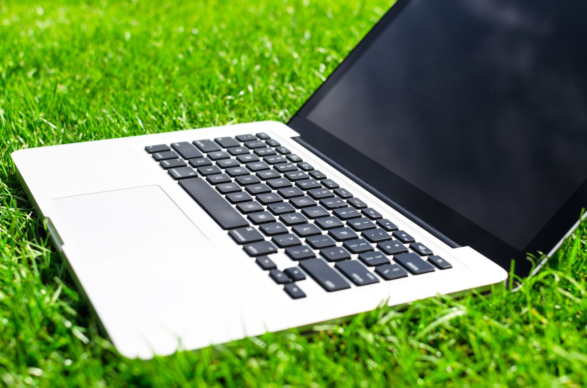 Laptop na trawie symbolizujący połączenie technologii z naturą