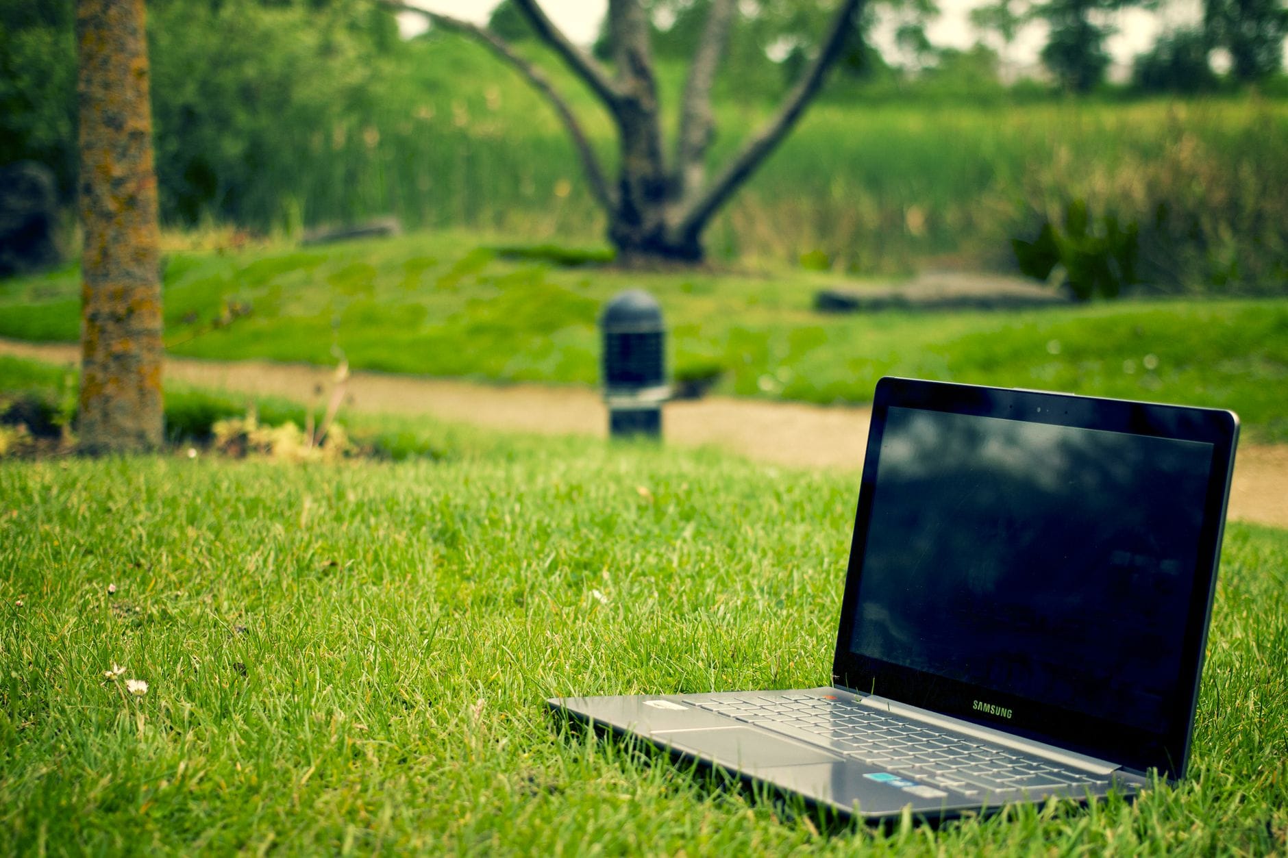 Laptop na trawie w parku symbolizujący ekologiczne korzystanie z Office Laptop na trawie w parku symbolizujący ekologiczne korzystanie z Office